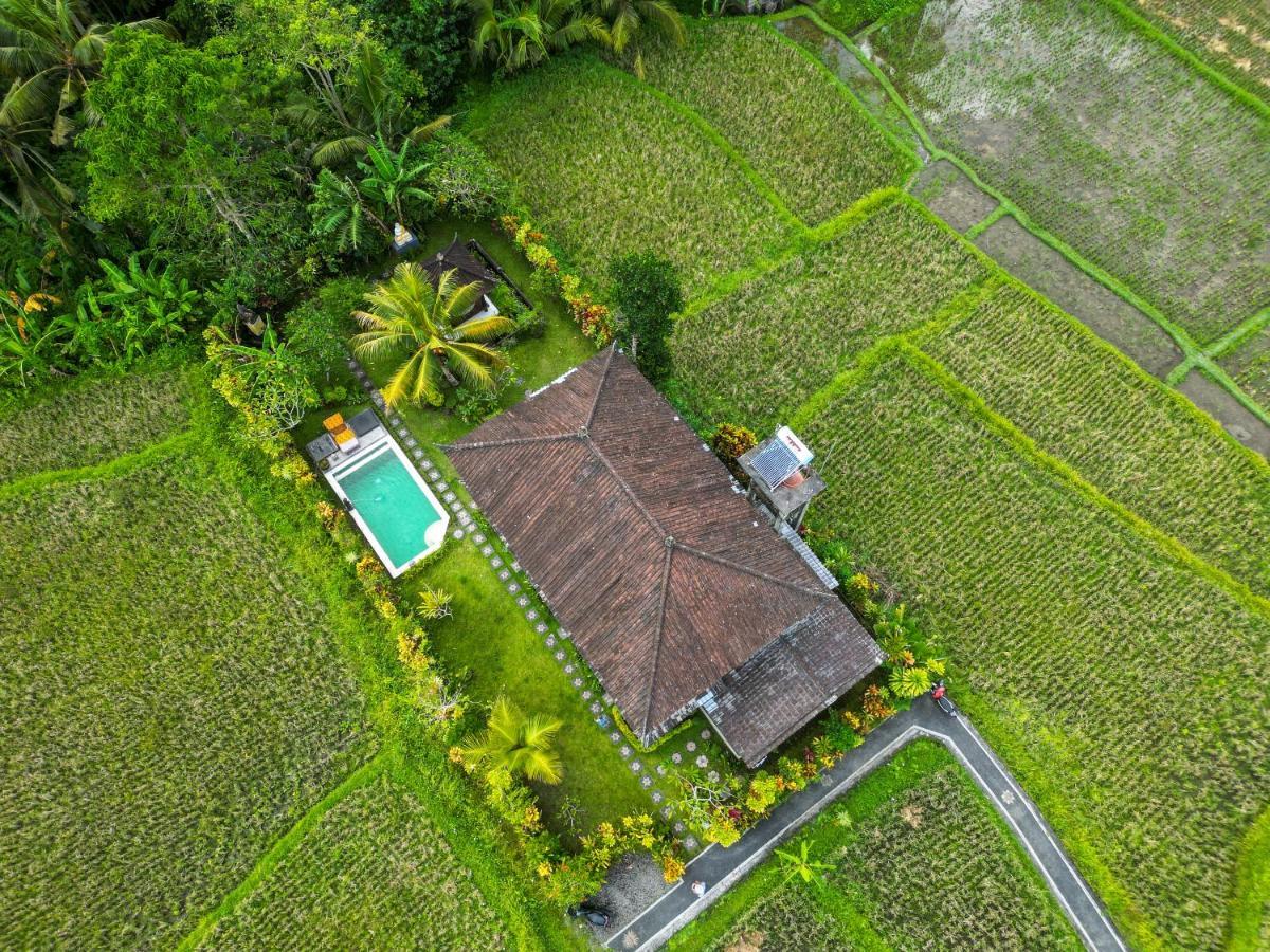 Buddha Homestay Ubud  Luaran gambar