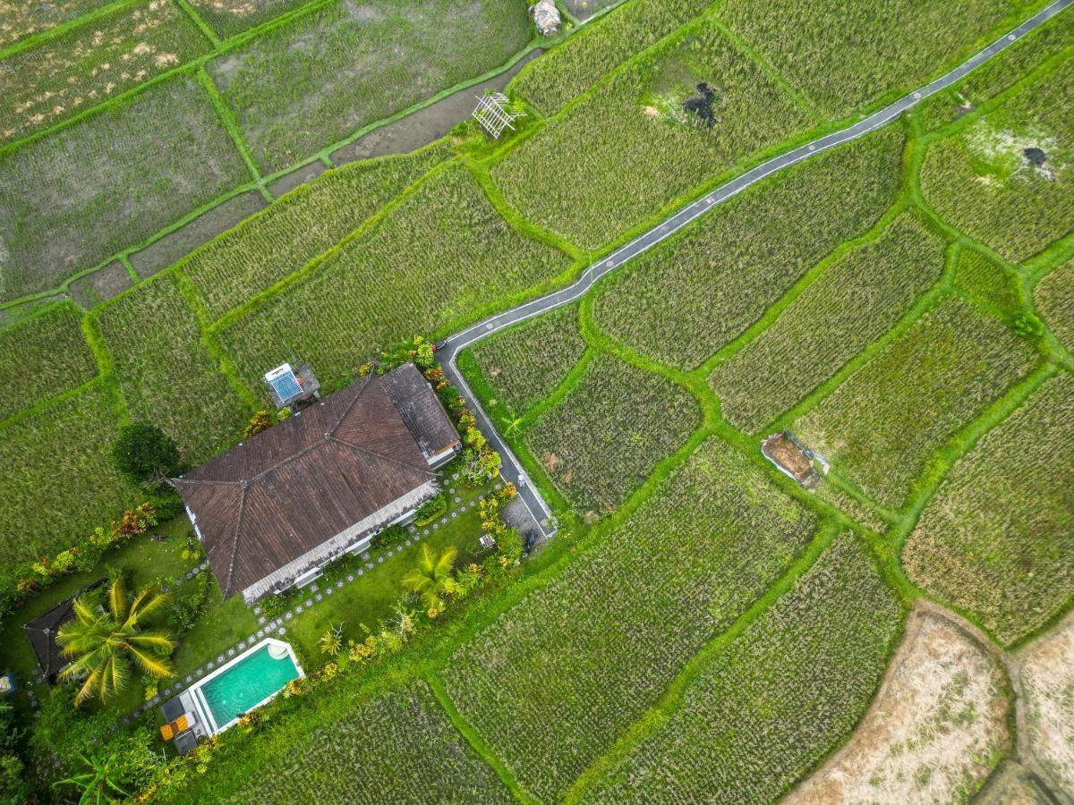 Buddha Homestay Ubud  Luaran gambar