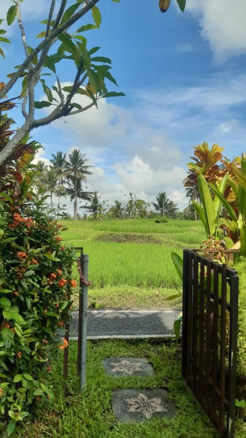 Buddha Homestay Ubud  Luaran gambar